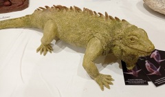 Expo-Versailles2025-03