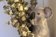 KOALA01